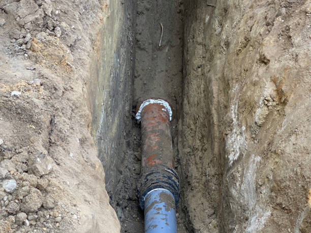 Best Flood restoration services  in Lexington, MN
