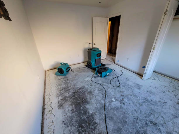 Best Water damage restoration near me  in Lexington, MN
