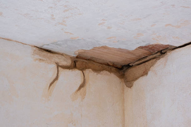 Best Water damage contractors near me  in Lexington, MN