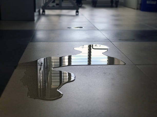 Best Water damage cleanup near me  in Lexington, MN
