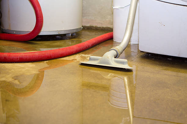 Best Flood damage cleanup  in Lexington, MN