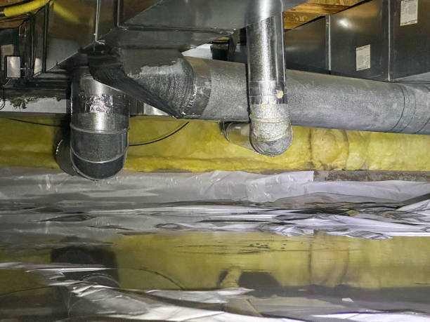 Best Emergency water damage restoration  in Lexington, MN