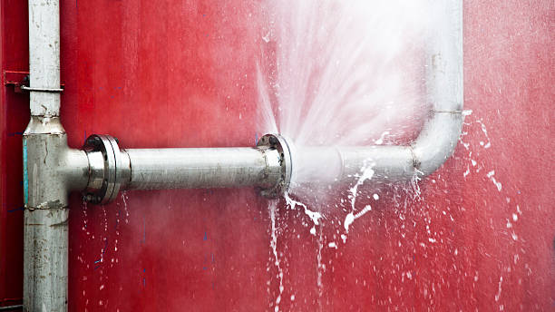 Best Water damage restoration near me  in Lexington, MN