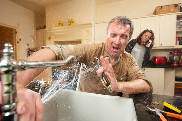 Best Residential water damage restoration  in Lexington, MN